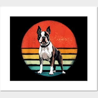 Boston Bull Terrier Vintage Dog Retro Dogs Owner Posters and Art